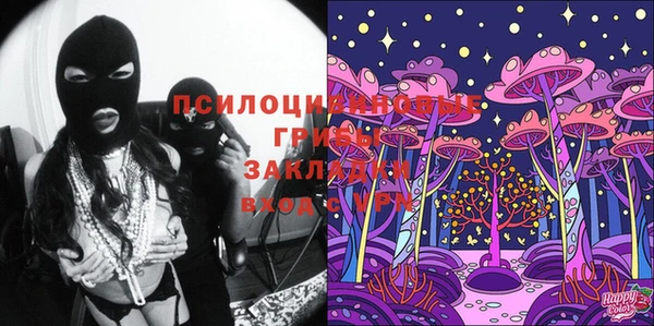 прущие грибы Алексеевка