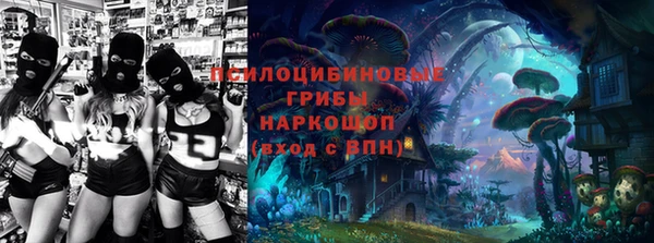 прущие грибы Алексеевка