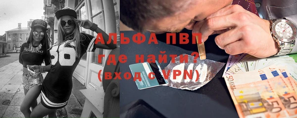 стаф Алексин