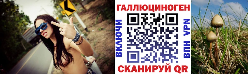 Купить закладки  Хабаровск  Галлюциногенные грибы мицелий 