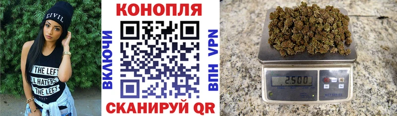 Купить где  Хабаровск  Бошки марихуана сатива 